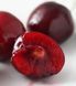 Новинка! Вишня "Келлеріс" (безцінний сорт для присадибного господарства) SADU-0238 фото 2